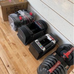 Adjustable dumbbells - Singles