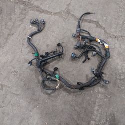 Ls Harness