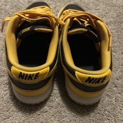 Nike Dunks 9.5