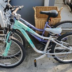 Bikes 25 each