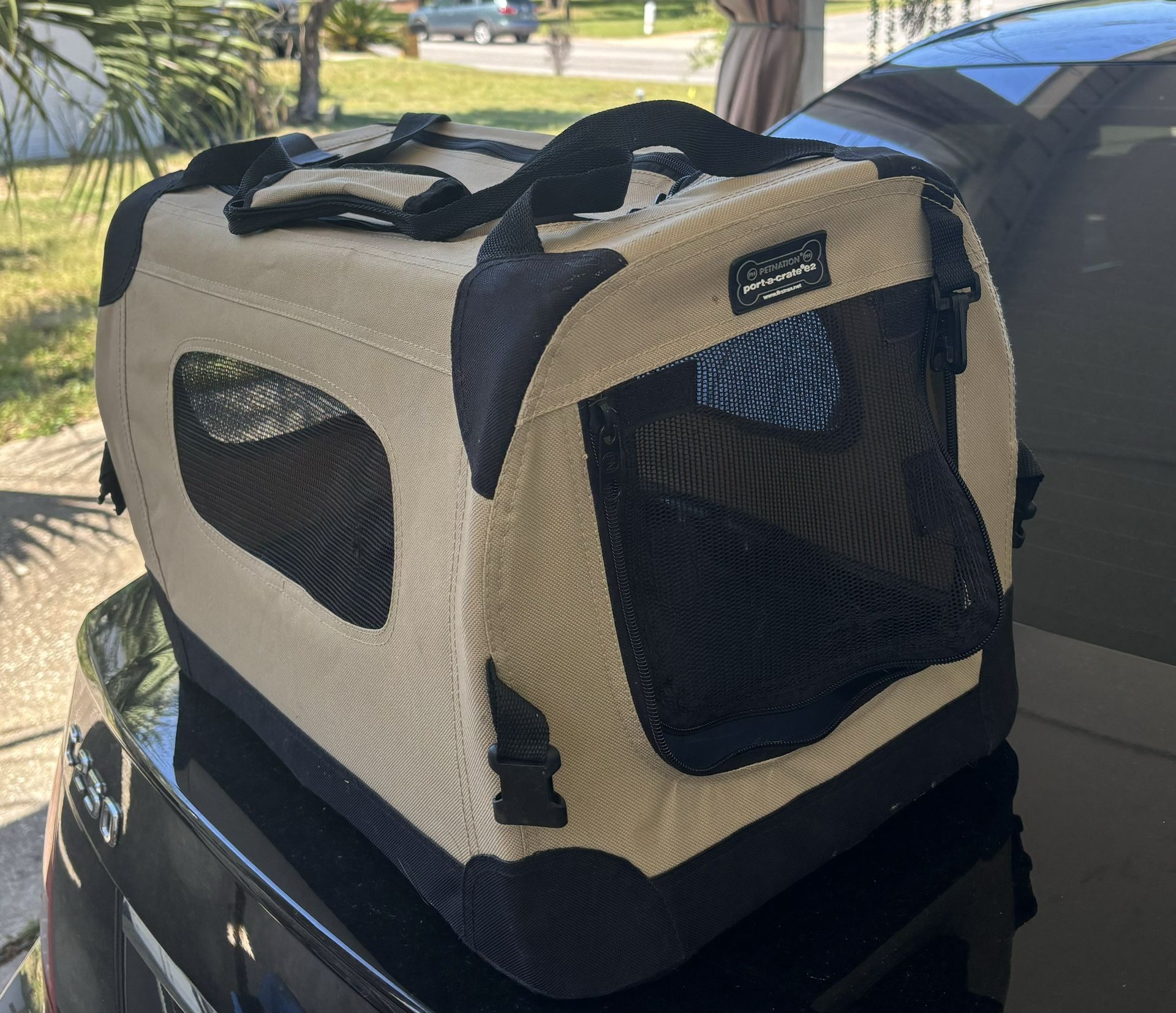 Cat Carrier 