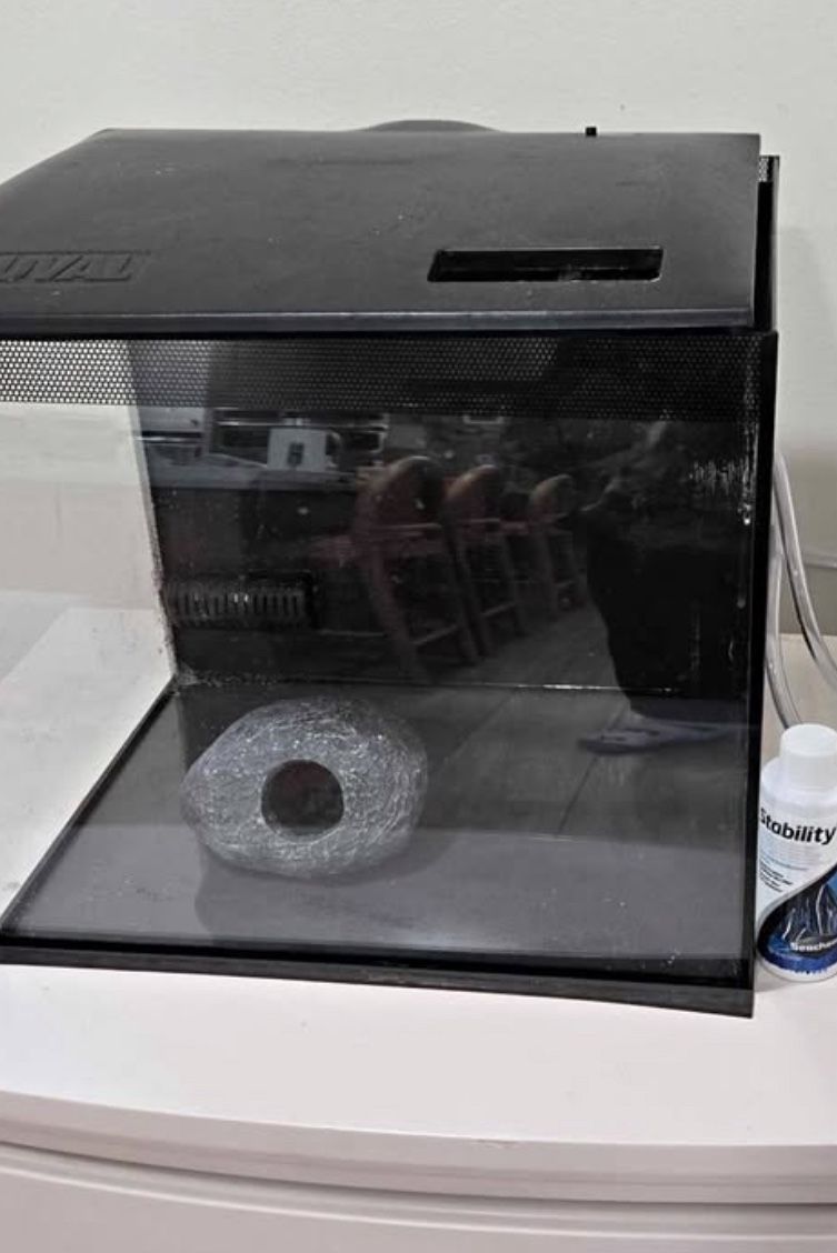 Fluval flex aquarium kit 9 gallon