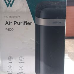 WELOV Black Air Purifier P100