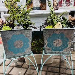 POTTED PLANTS WITH PLANT STANDS