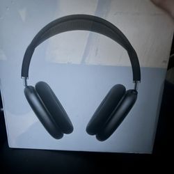 Airpod Pro Maxs 