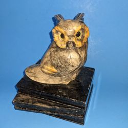 Magnificent Stone Carved Owl Collectable From  Italy 