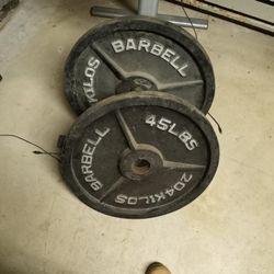 Pair Of 45 Pound Barbells 