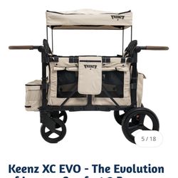 Keenz Luxury 2 Person Wagon In Excellent Condition 