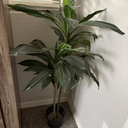 Fake Plant