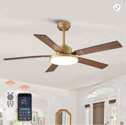 Ceiling fan with light