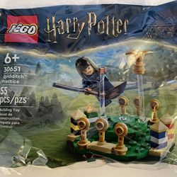 Lego Harry Potter Quidditch Practice Polybag (30651)