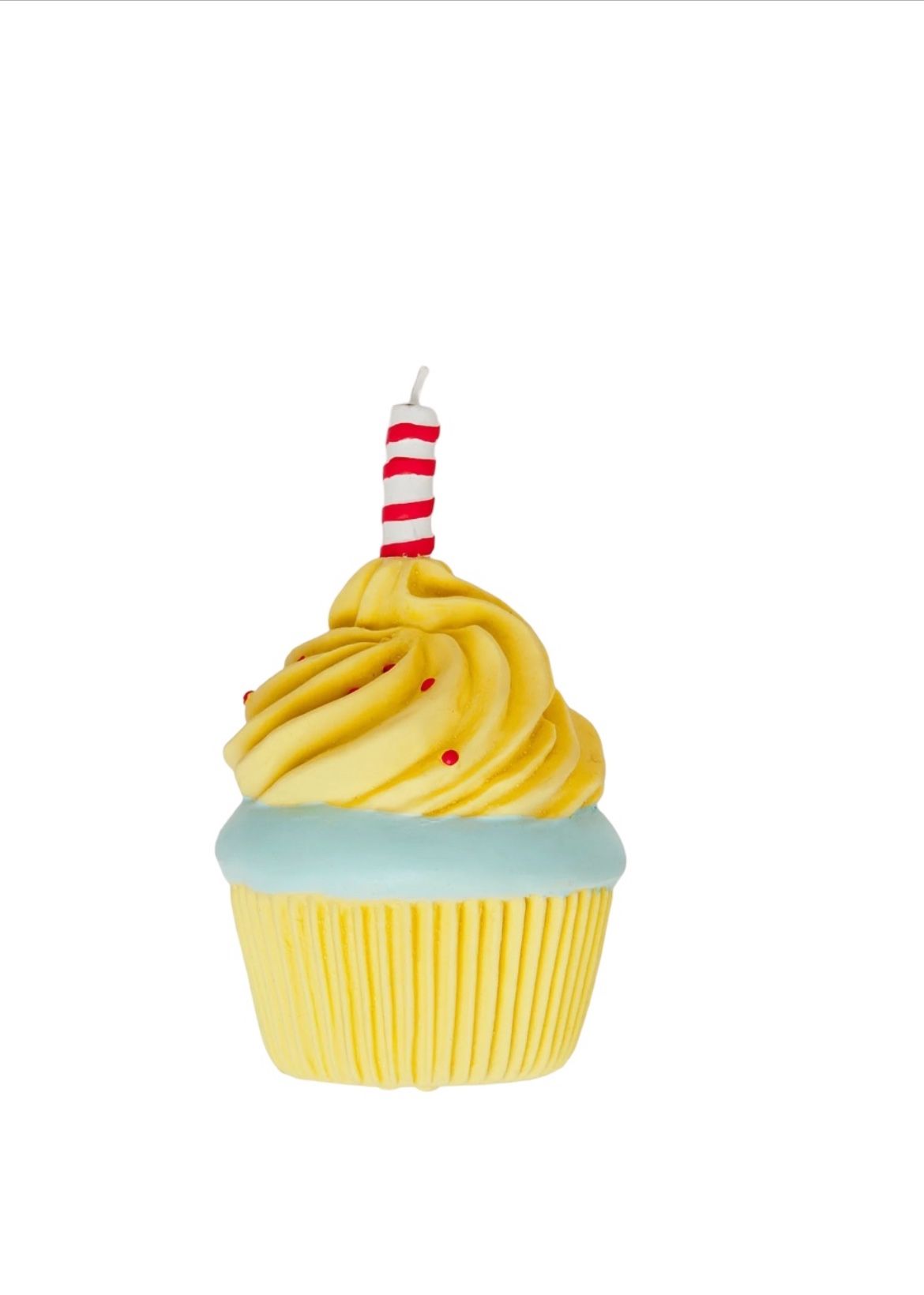 Squeaky Cupcake Toy