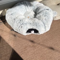 Cat Tunnel