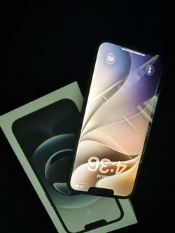 iPhone 16E
