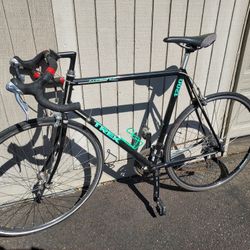 Trek 1200 Bike