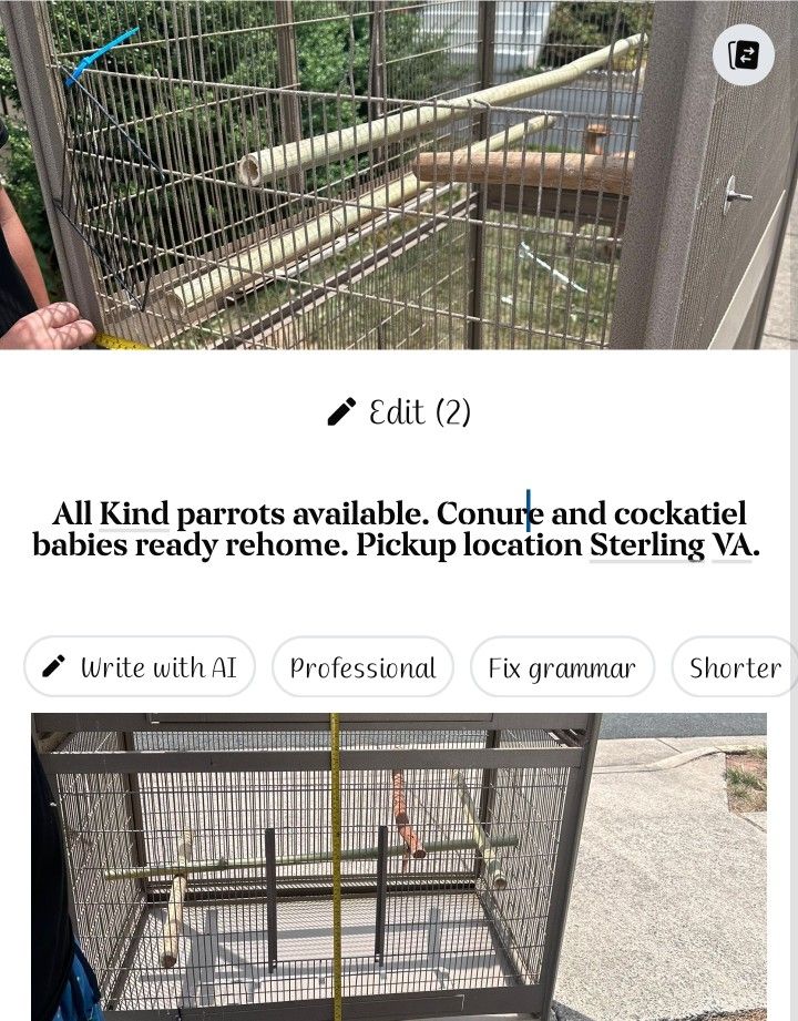 Large Parrot Cage.