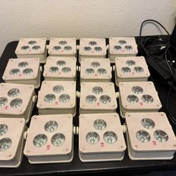 (16) Ape Labs Maxi 2+ Uplights With ProX Case