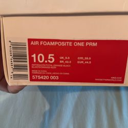 Safari Nike Foamposite Size 10.5 