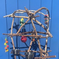 Parrot Perch Tree - All Custom And Aaa+ Quality… Breeder Direct Wholesale Prices ! Loved By Birdees ! 