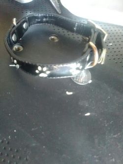 Dog collar size small to medium