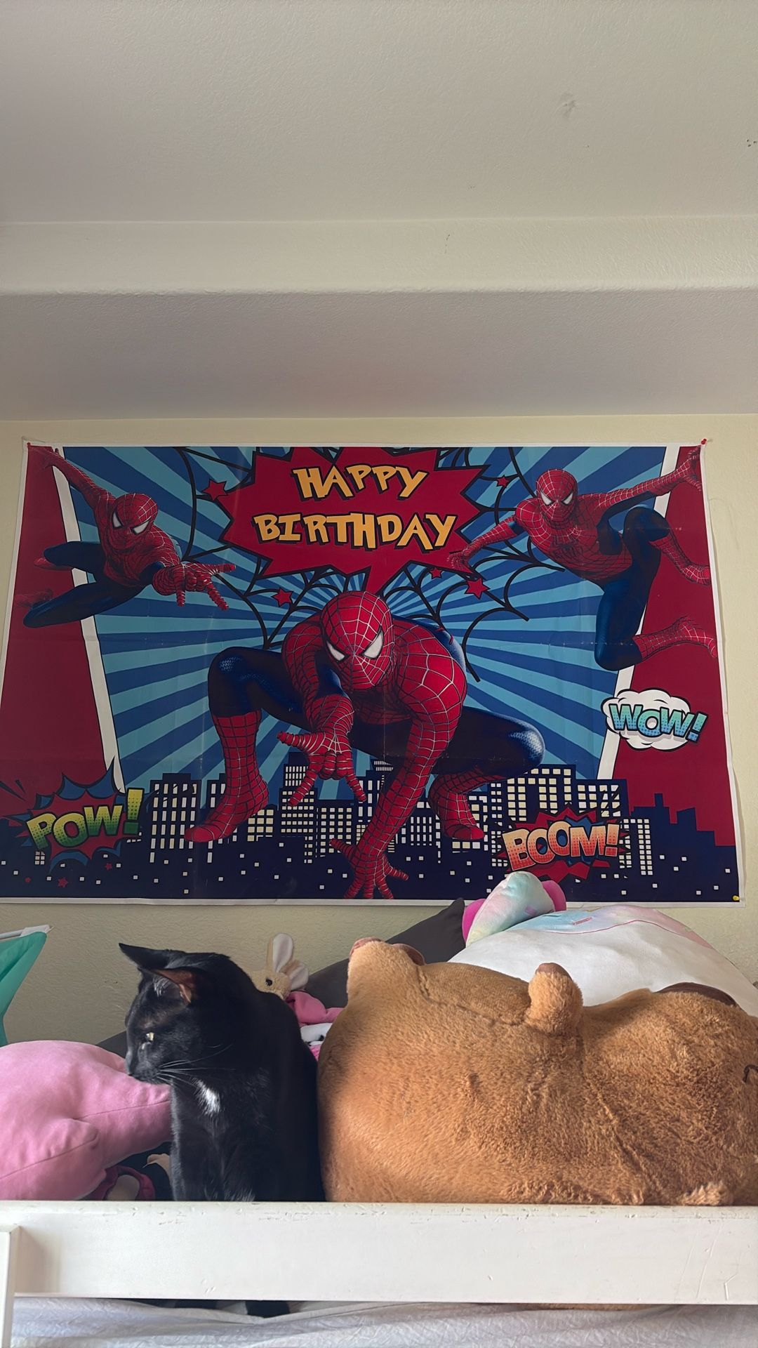 Spider Man Birthday Banner