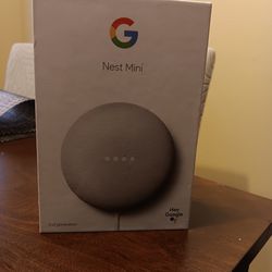 Mini Google Nest