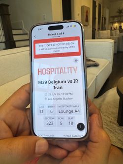 Iran vs Belgium World Cup Hospitality Suite (4 tickets)