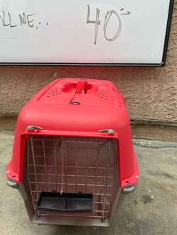 Red Plastic Pet Travel Carrier Crate
