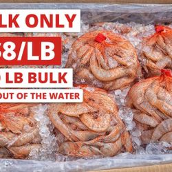 30LB BULK Fresh Shrimp -Directed From The Boat -Flash Frozen