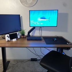 Electric Height Adjustable Desk