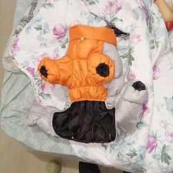 Doggy Snow Suit Brand New A Large Is This Too Small For My Dog