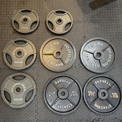 6 45 Lb Plates And 2 35 Lb Plates
