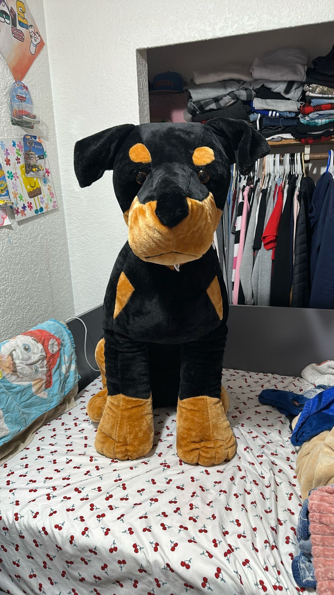 Stuffed Animal