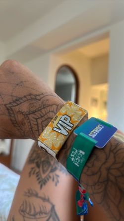 Bajafest VIP