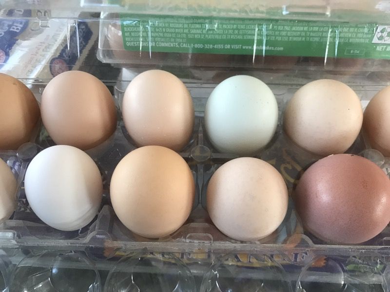 Farm fresh eggs !!