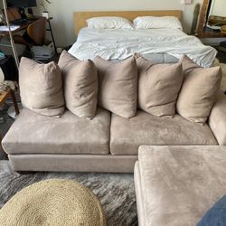 Clean Suede Couch 