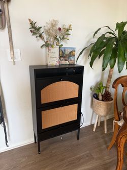 Shoe cabinet