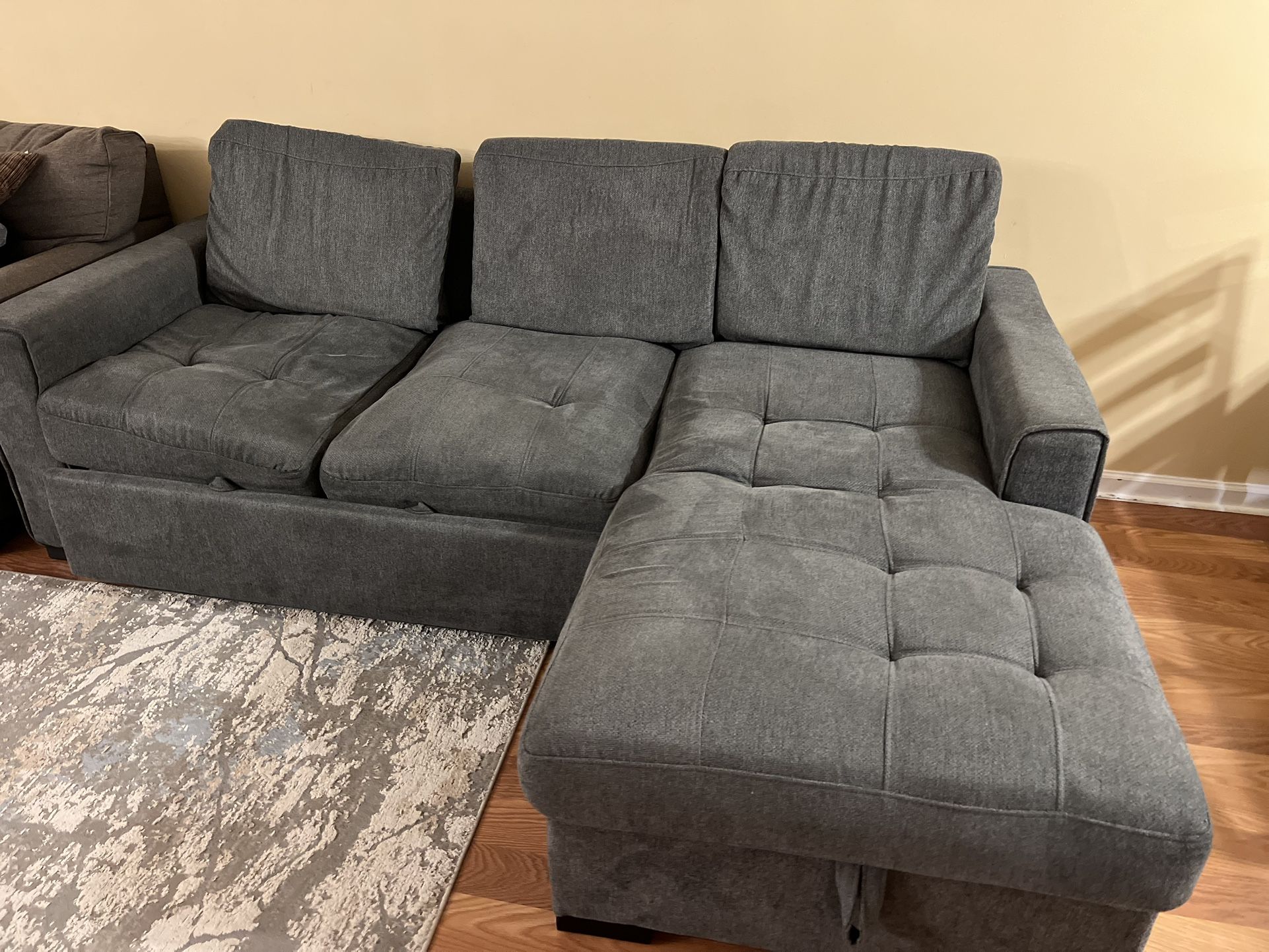 Couch with Sleeper and Storage