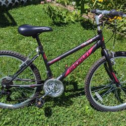 Shogun trail blaster best sale bicycle