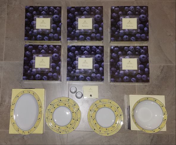 Royal Doulton China Blueberry Pattern