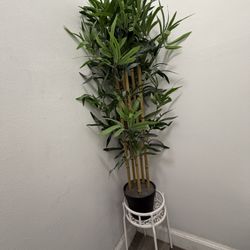 Plant & Stand 