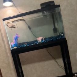40 gallon TANK & STAND
