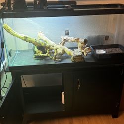 Fish Tank With Furniture