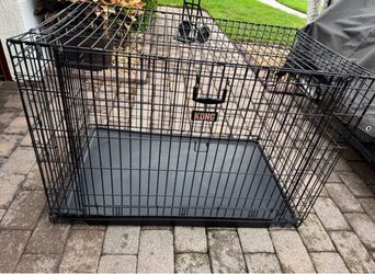 KONG XL 48” Wire Dog Crate/ Dog Kennel with Tray