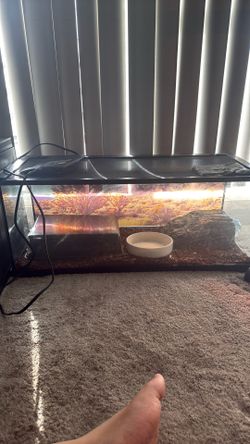 20 gallon tank
