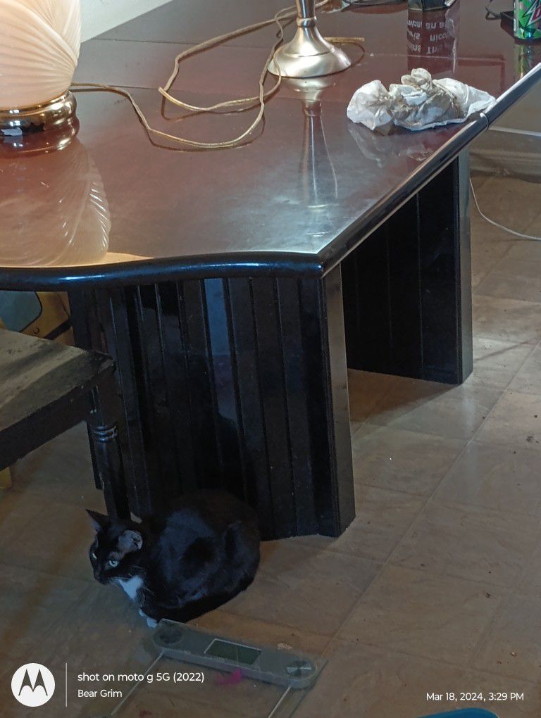 Ten Seat Hardwood Dining Table $1100 OBO