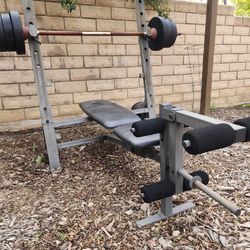 Golds Gym Bench With 100 Lbs Weights