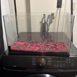 10 GALLON TANK