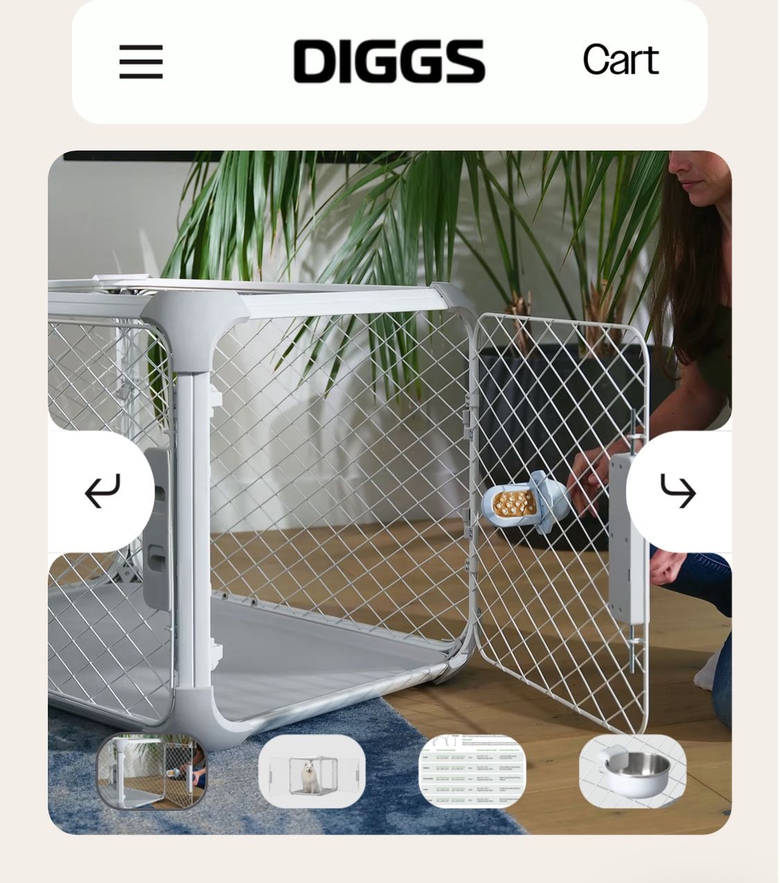 Diggs Dog Create