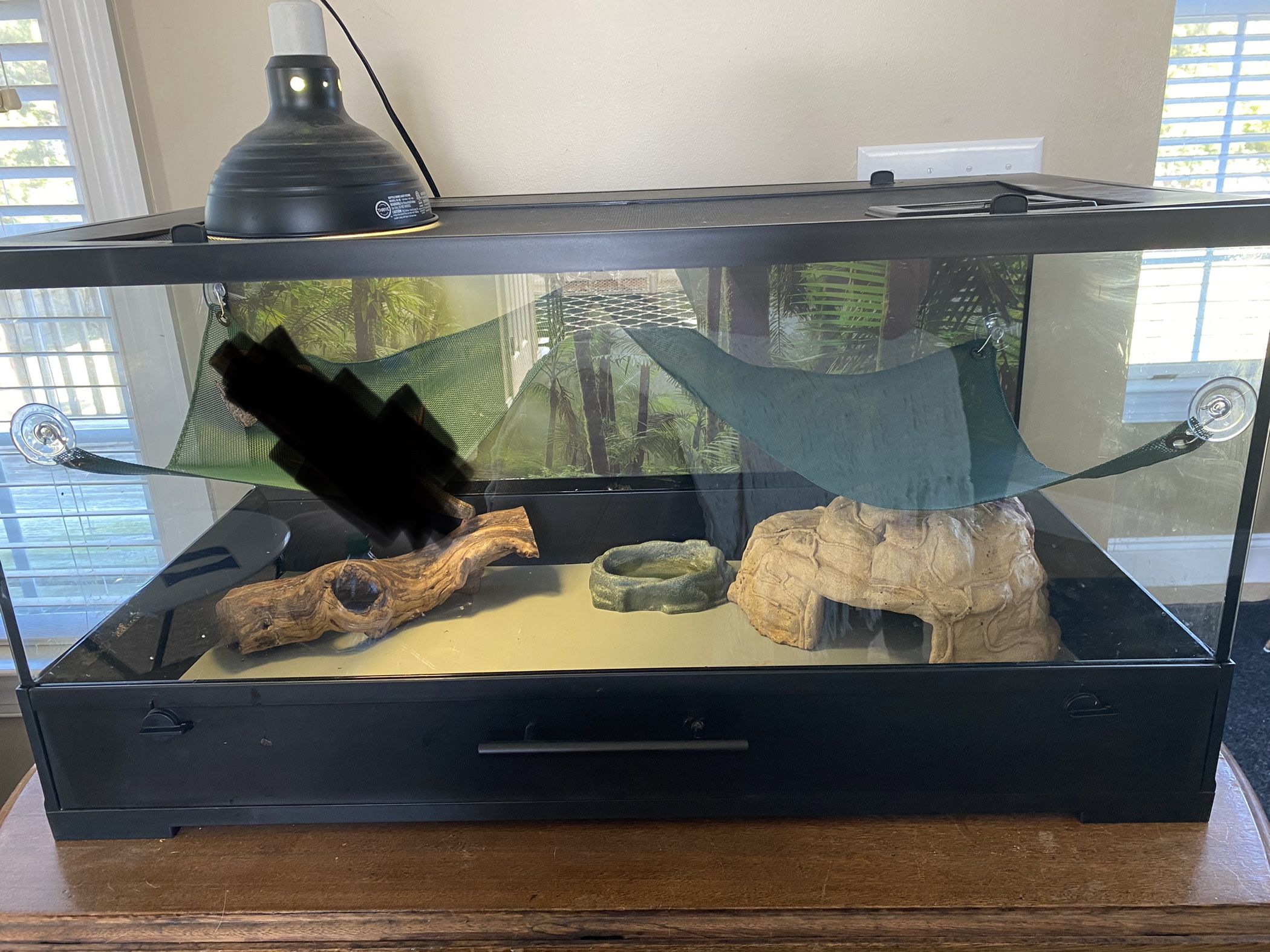 40 Gallon Breeder Reptile Enclosure With Drawer 🤩